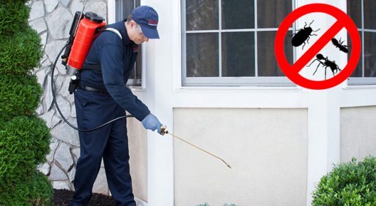 Pertek Kemirgen İlaçlama böcek ilaçlama ve haşere kontrolü — ilaclama-tr.com